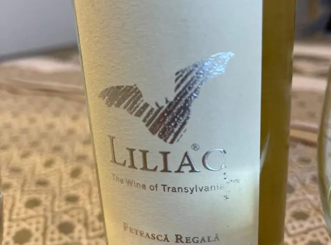 Malachite Urban Gem - Skyline Terrace Oasis Bucureşti