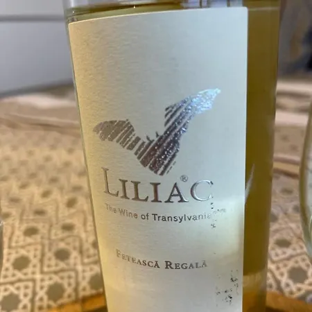 Malachite Urban Gem - Skyline Terrace Oasis Bucareste